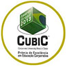 Cubic Awards (Corporate University Best-in-Class)
